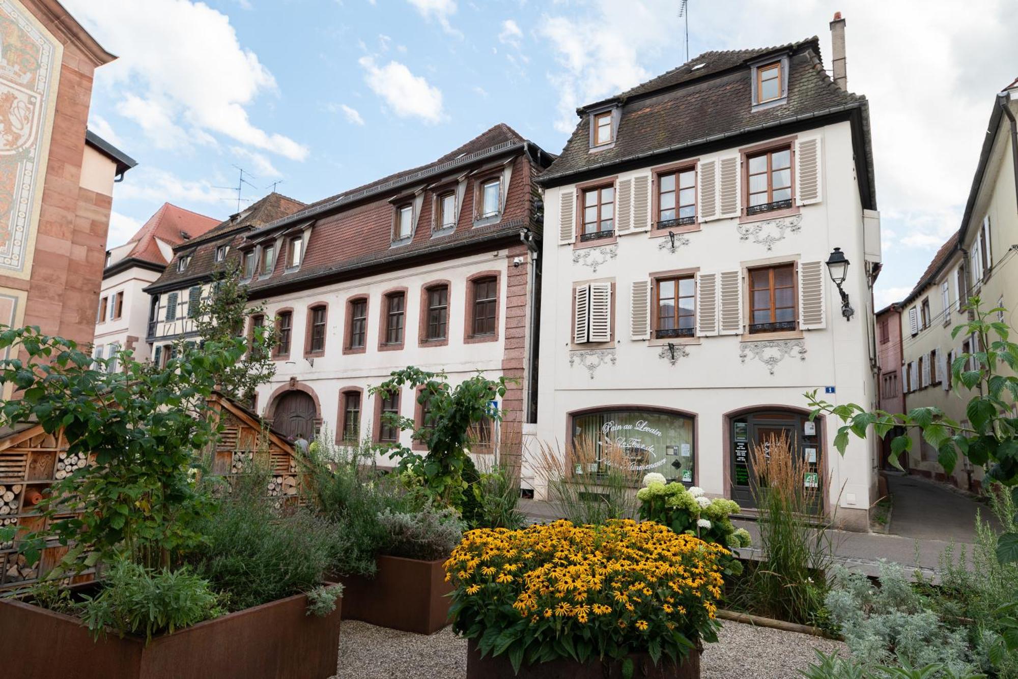 Le Repaire Du Chanceux Selestat Exterior photo